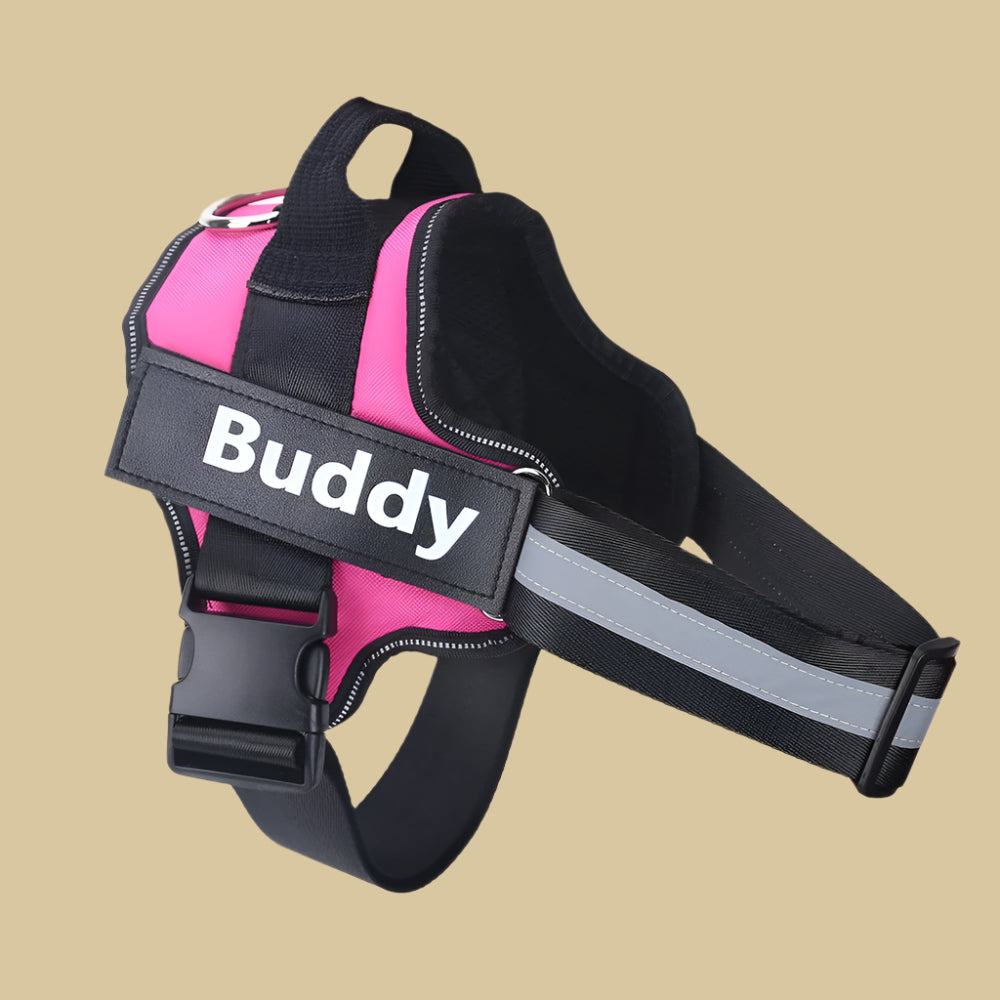 Personalized Dog Harness