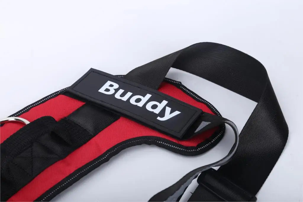 Personalized Dog Harness