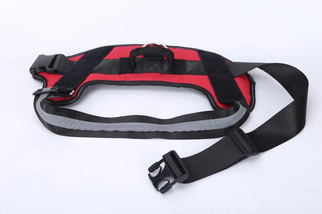 Personalized Dog Harness