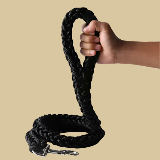 Handmade 8-Strand Nylon Braided Dog Leash